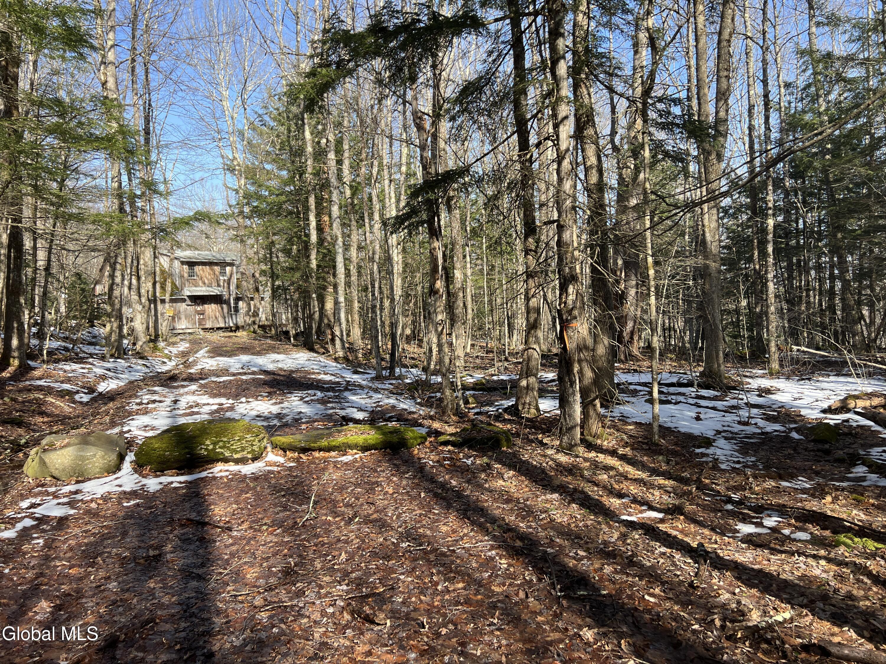 536 Bates Forest Road Conesville NY 12076