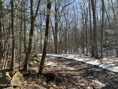 536 Bates Forest Road Conesville NY 12076