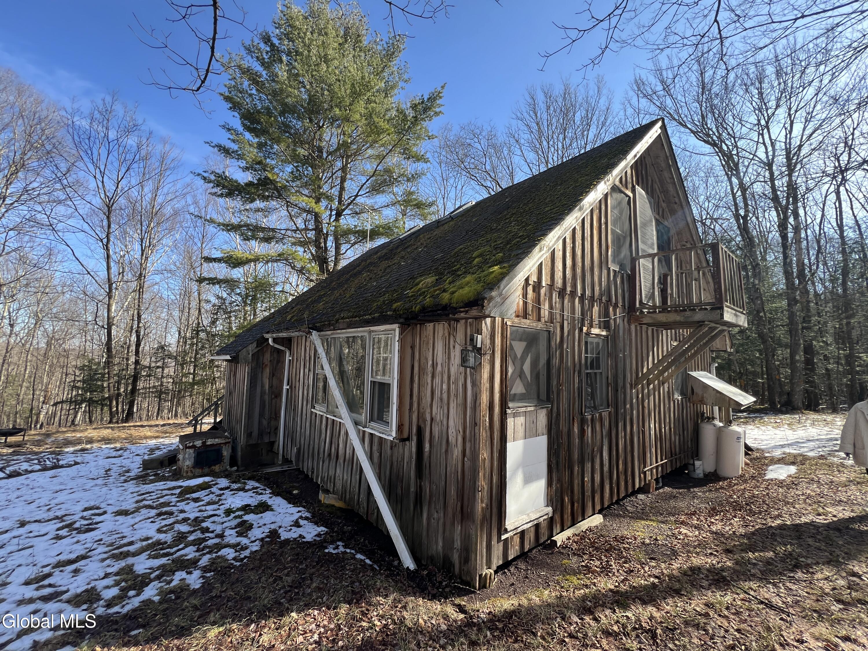 536 Bates Forest Road Conesville NY 12076