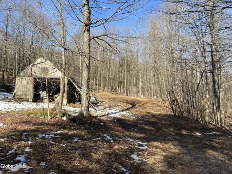 536 Bates Forest Road Conesville NY 12076