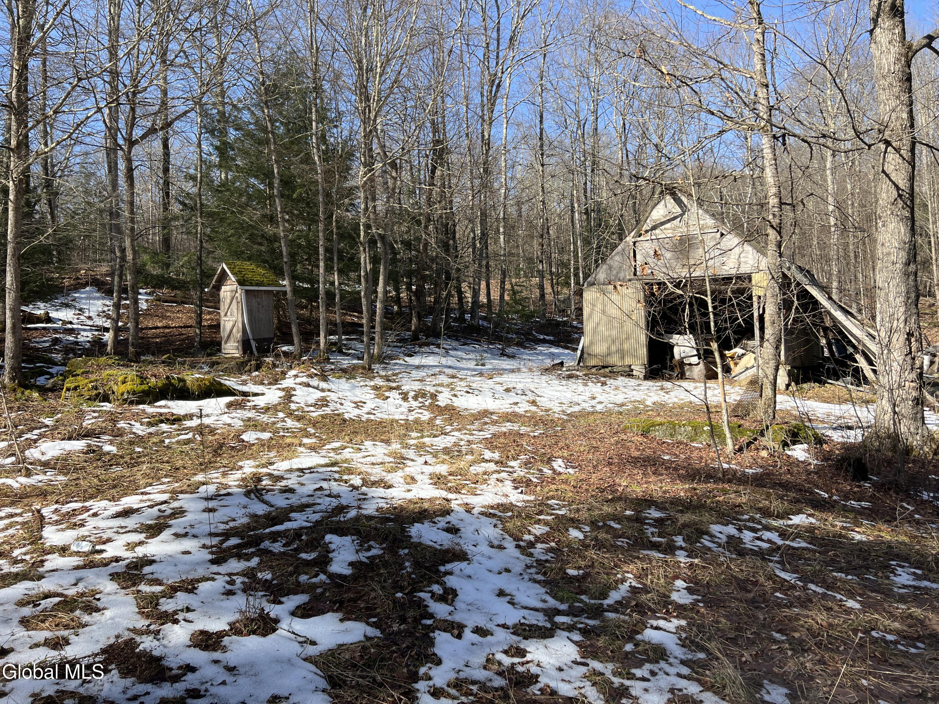 536 Bates Forest Road Conesville NY 12076