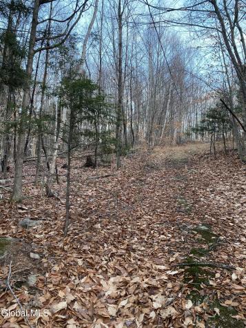 175 Henry Wescott Road Warrensburg NY 12885