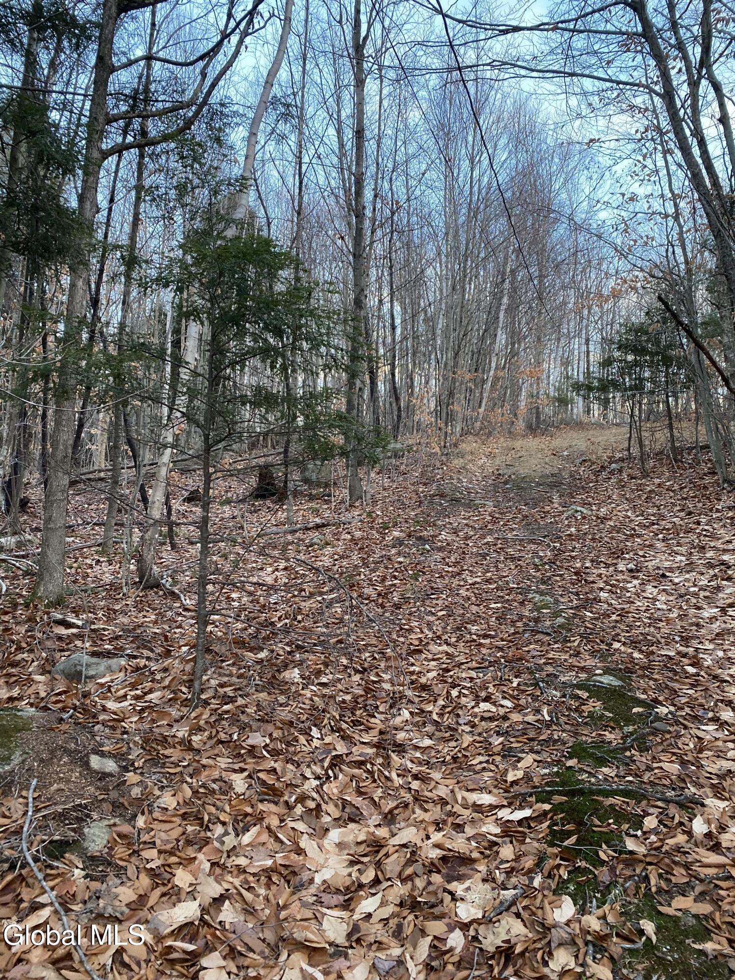 175 Henry Wescott Road Warrensburg NY 12885