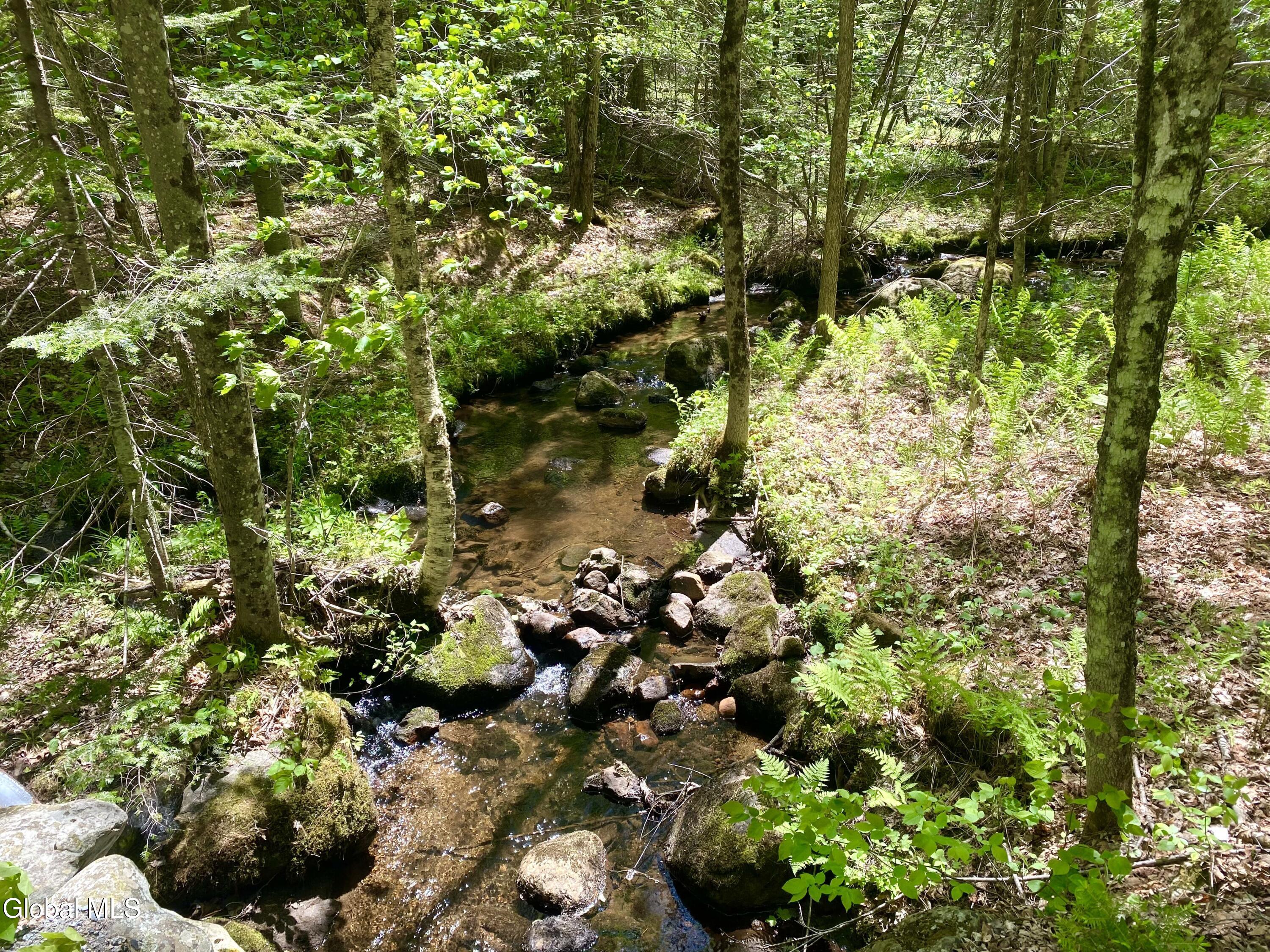 175 Henry Wescott Road Warrensburg NY 12885