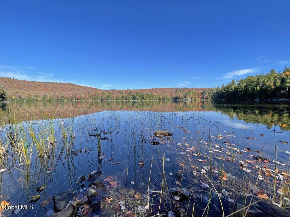 83 Burritt Lane Olmstedville NY 12870