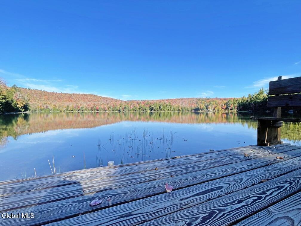 83 Burritt Lane Olmstedville NY 12870