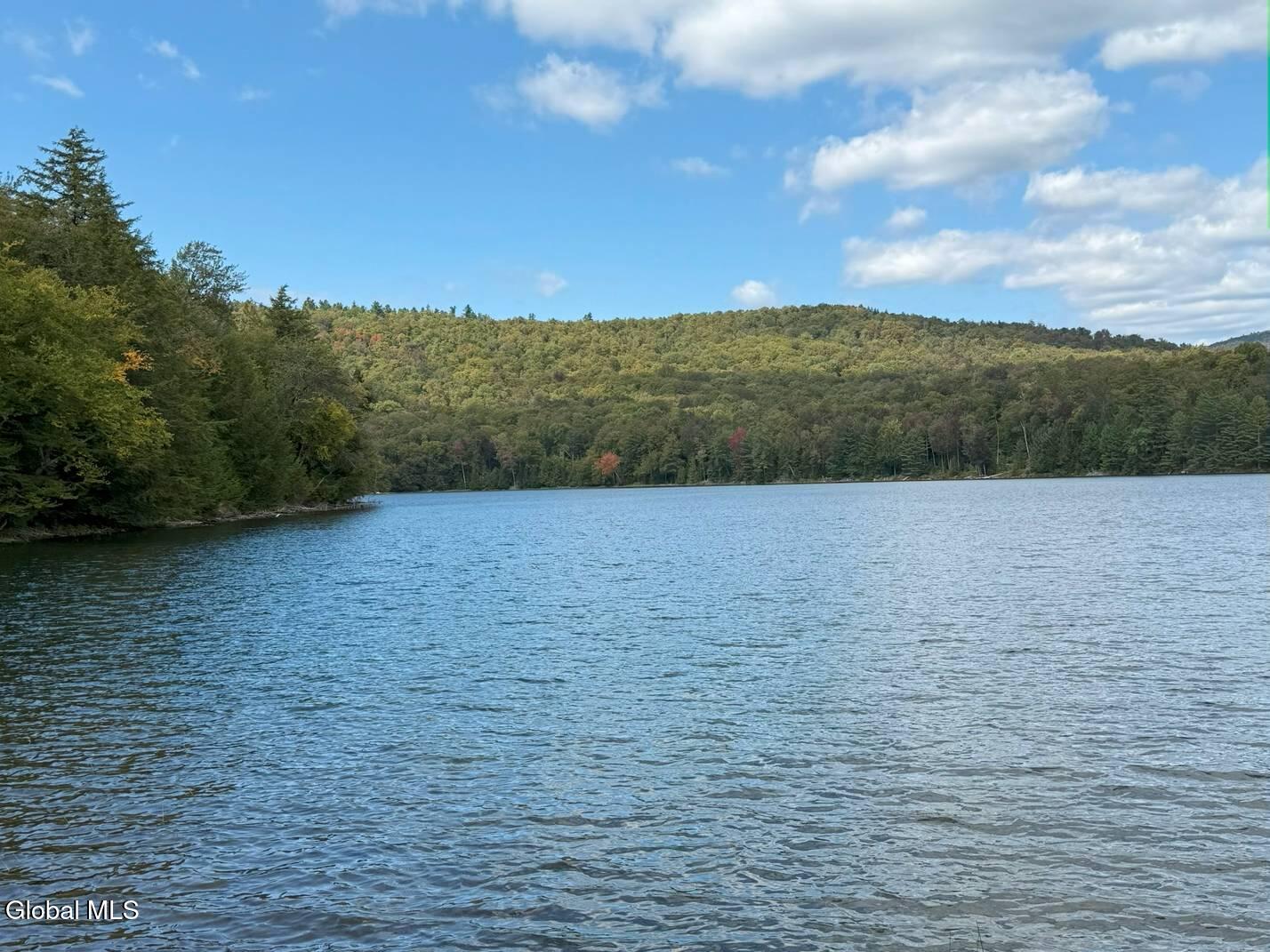 83 Burritt Lane Olmstedville NY 12870