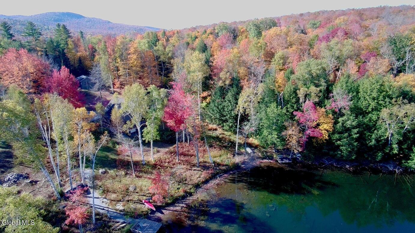 83 Burritt Lane Olmstedville NY 12870