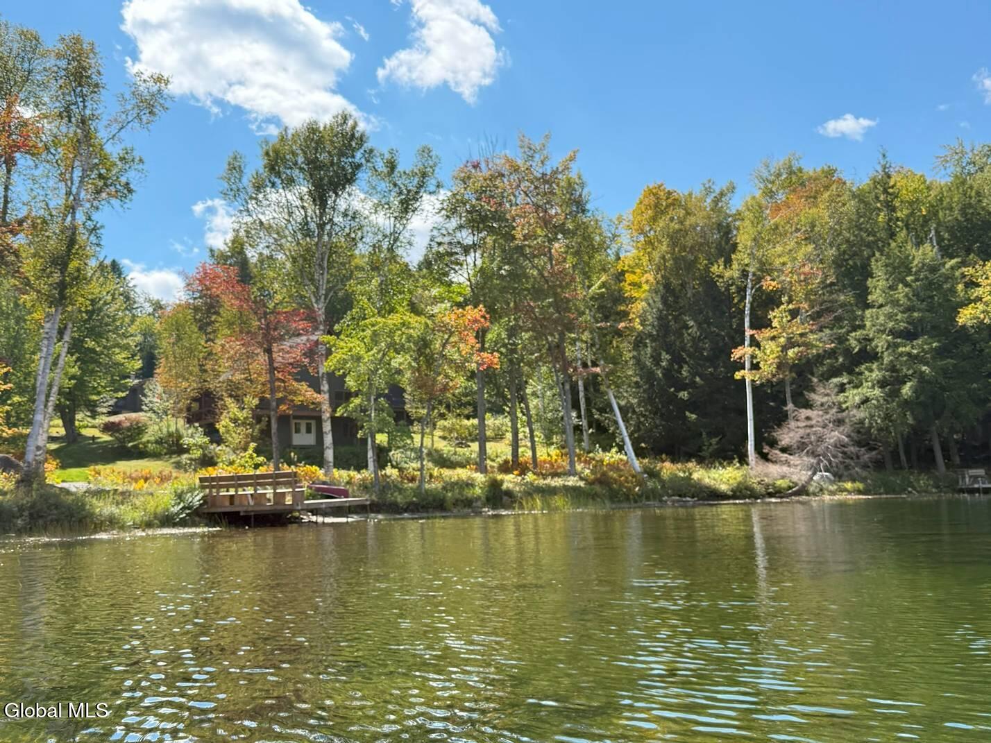 83 Burritt Lane Olmstedville NY 12870