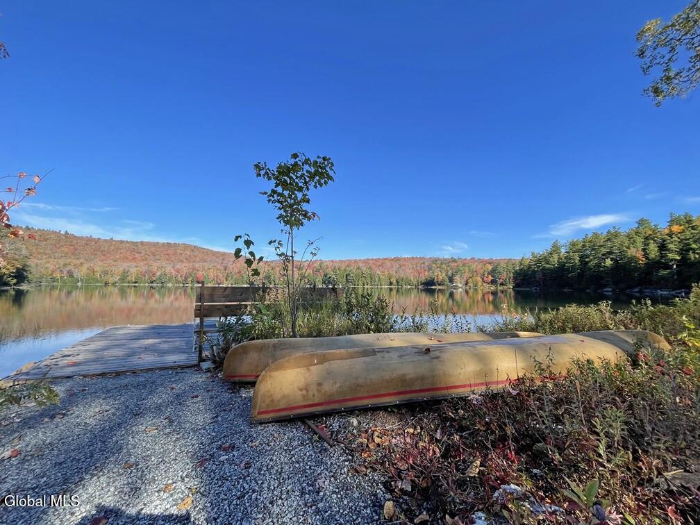 83 Burritt Lane Olmstedville NY 12870