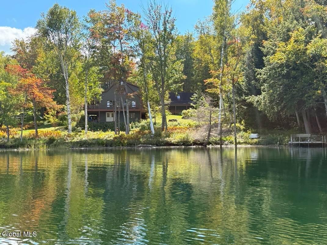 83 Burritt Lane Olmstedville NY 12870