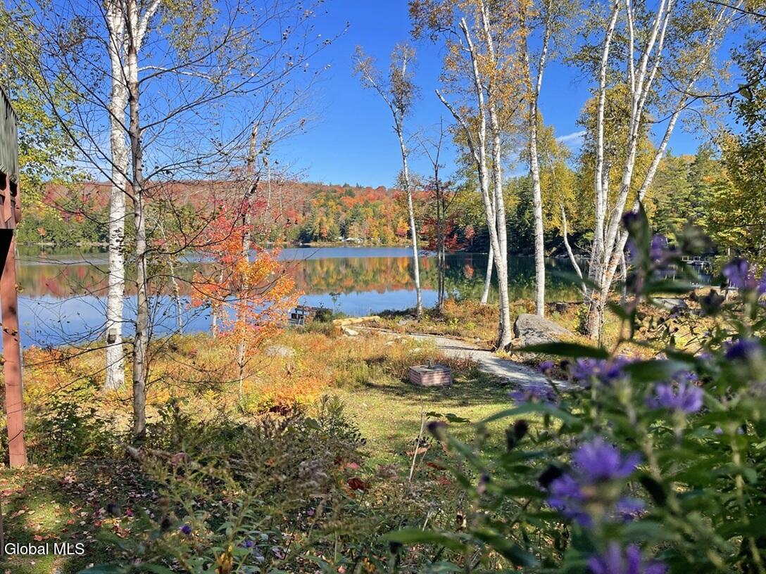 83 Burritt Lane Olmstedville NY 12870