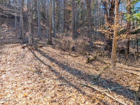 580 Ecker Hollow Road Middleburgh NY 12157