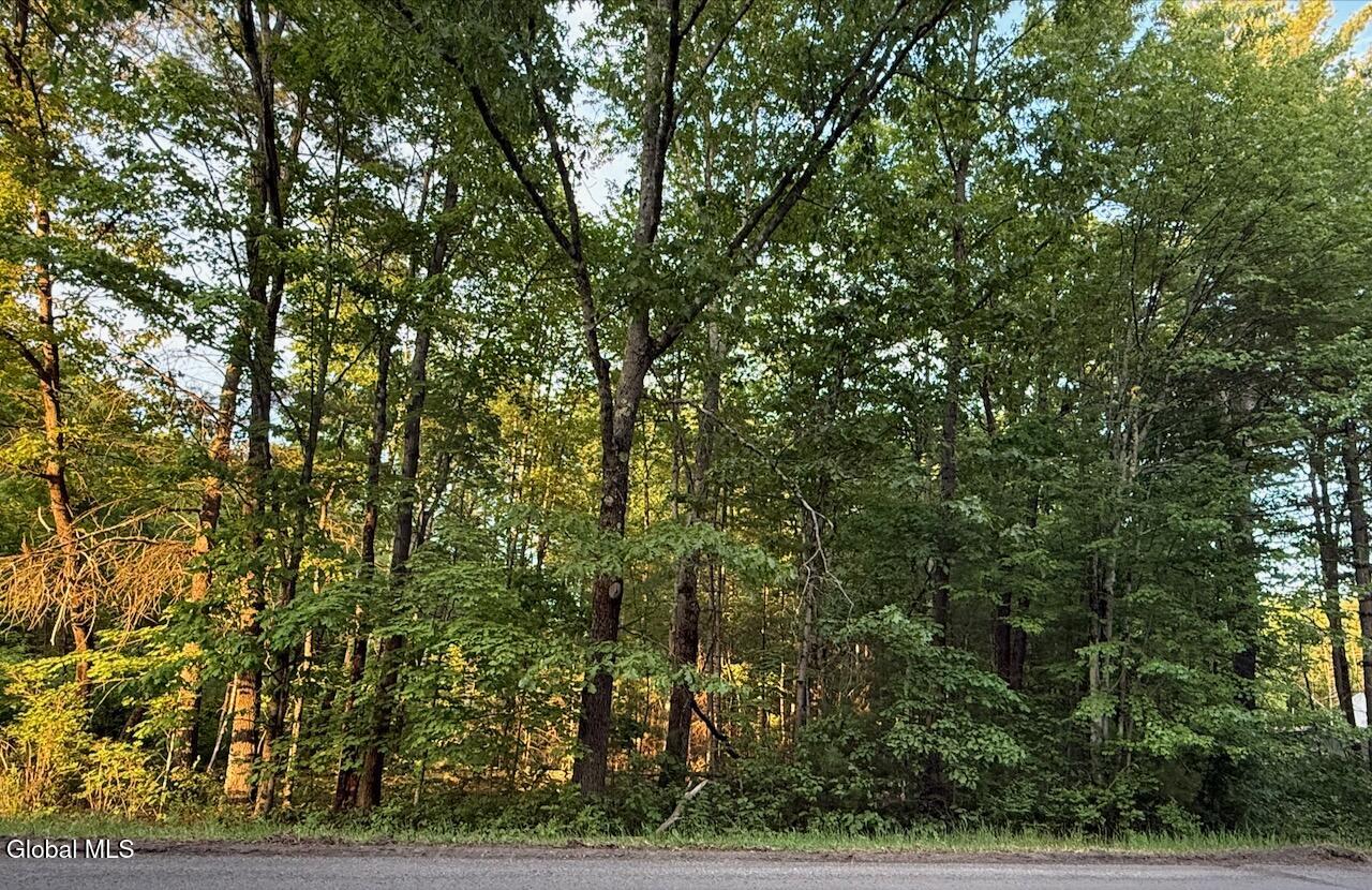 287 Edie Road Gansevoort NY 12831