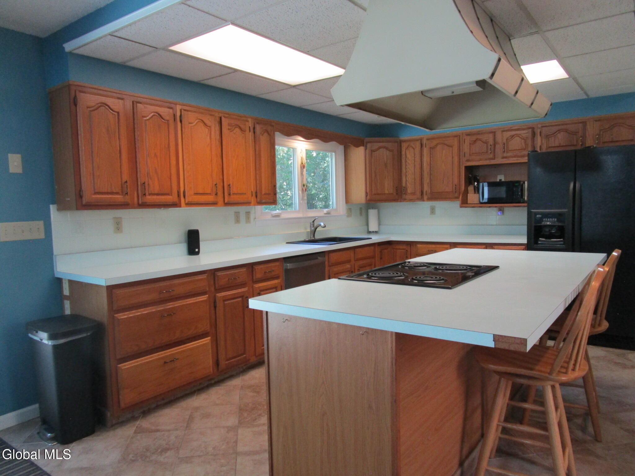 44 Westphal Drive Delmar NY 12054