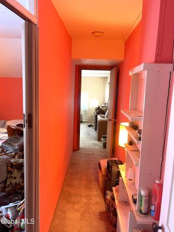 3 Agawam Lane Altamont NY 12009