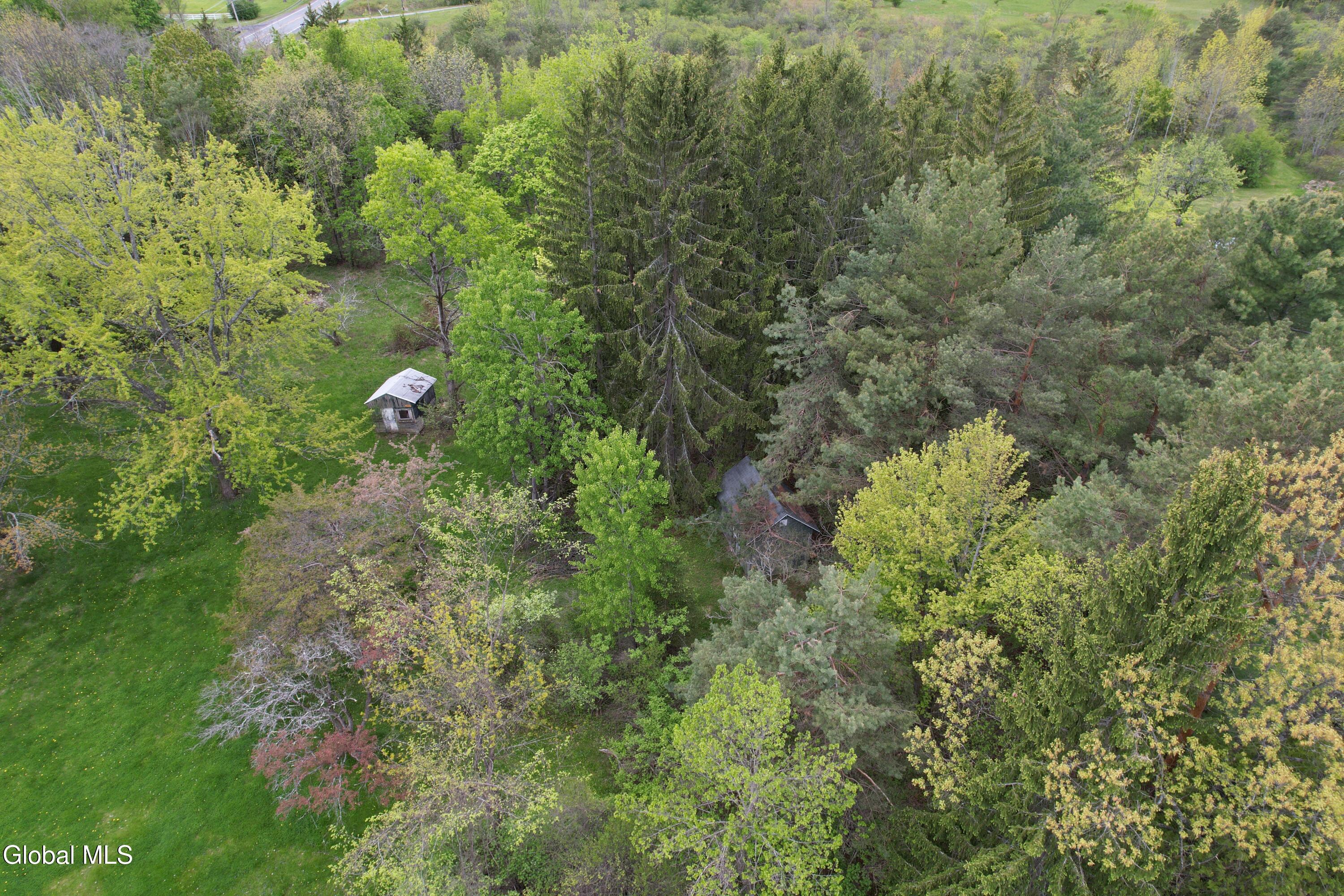 3 Agawam Lane Altamont NY 12009