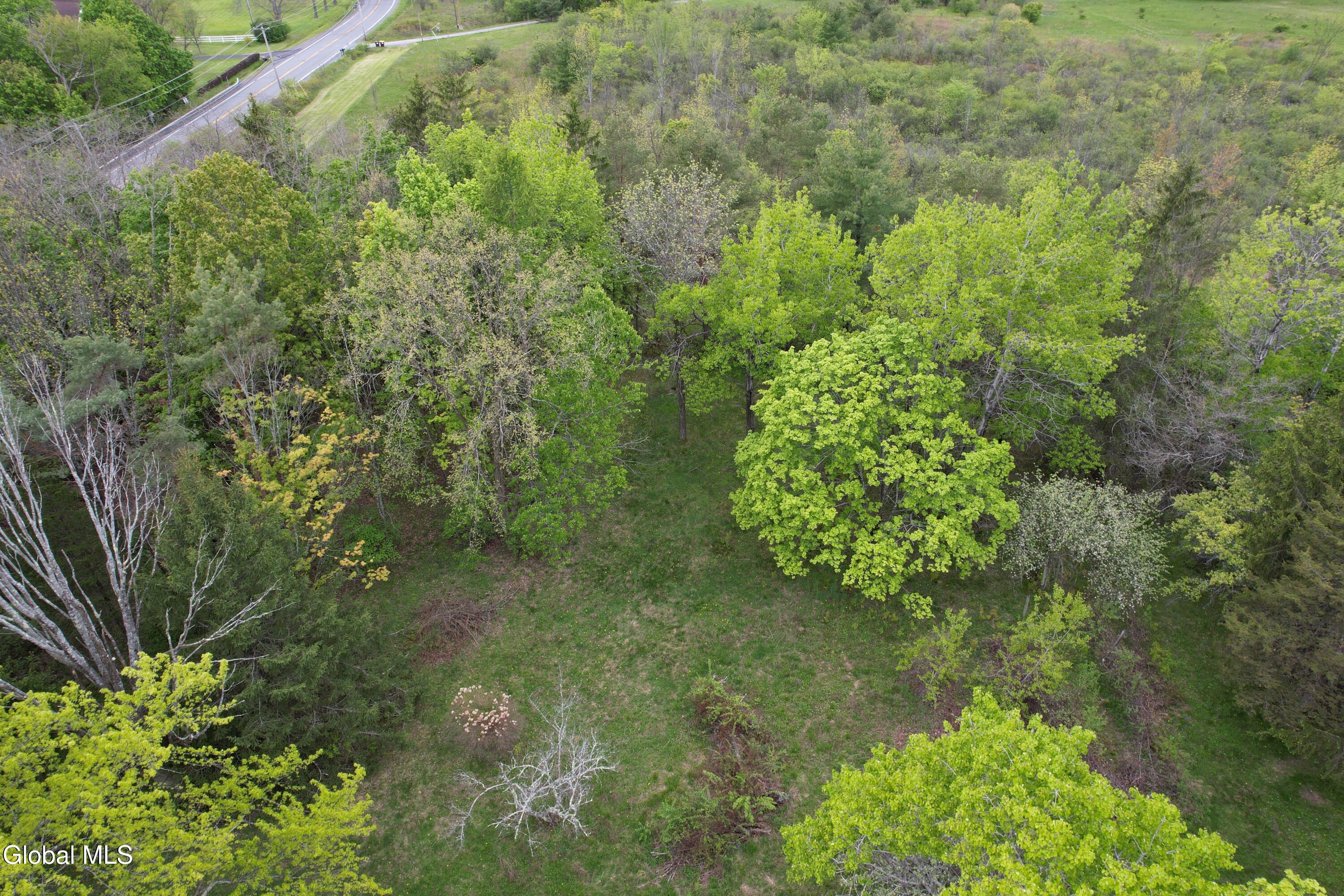3 Agawam Lane Altamont NY 12009