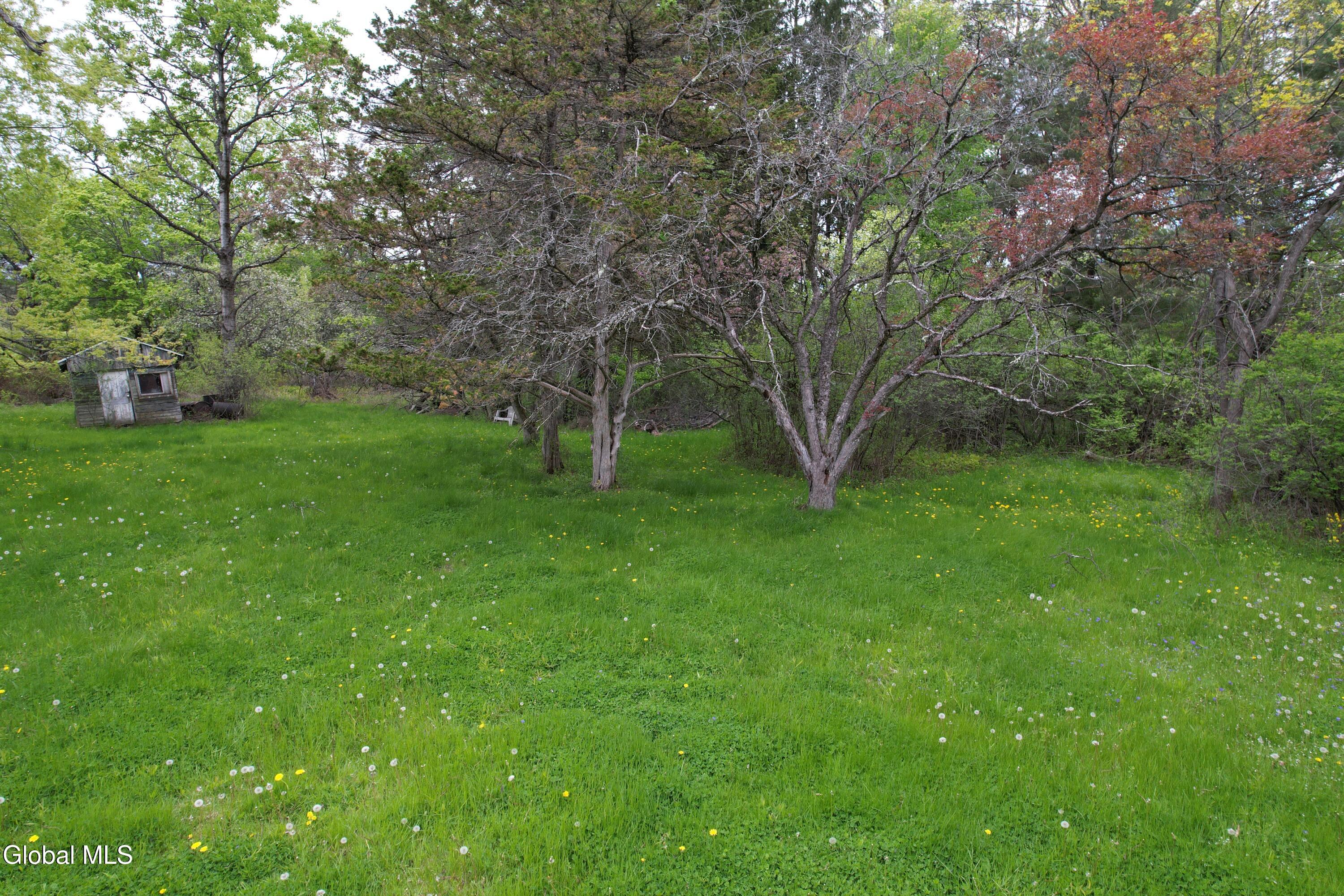 3 Agawam Lane Altamont NY 12009