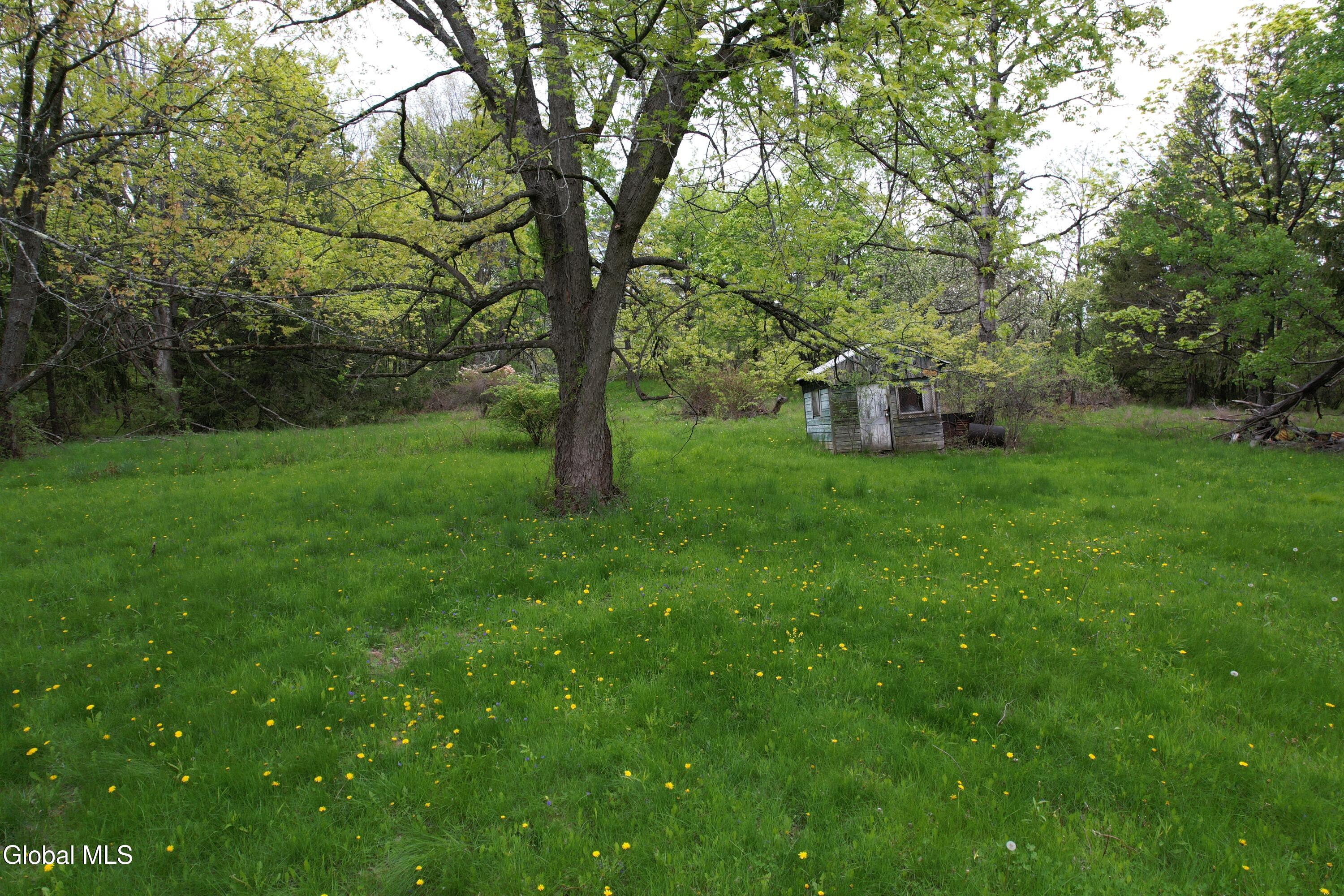 3 Agawam Lane Altamont NY 12009