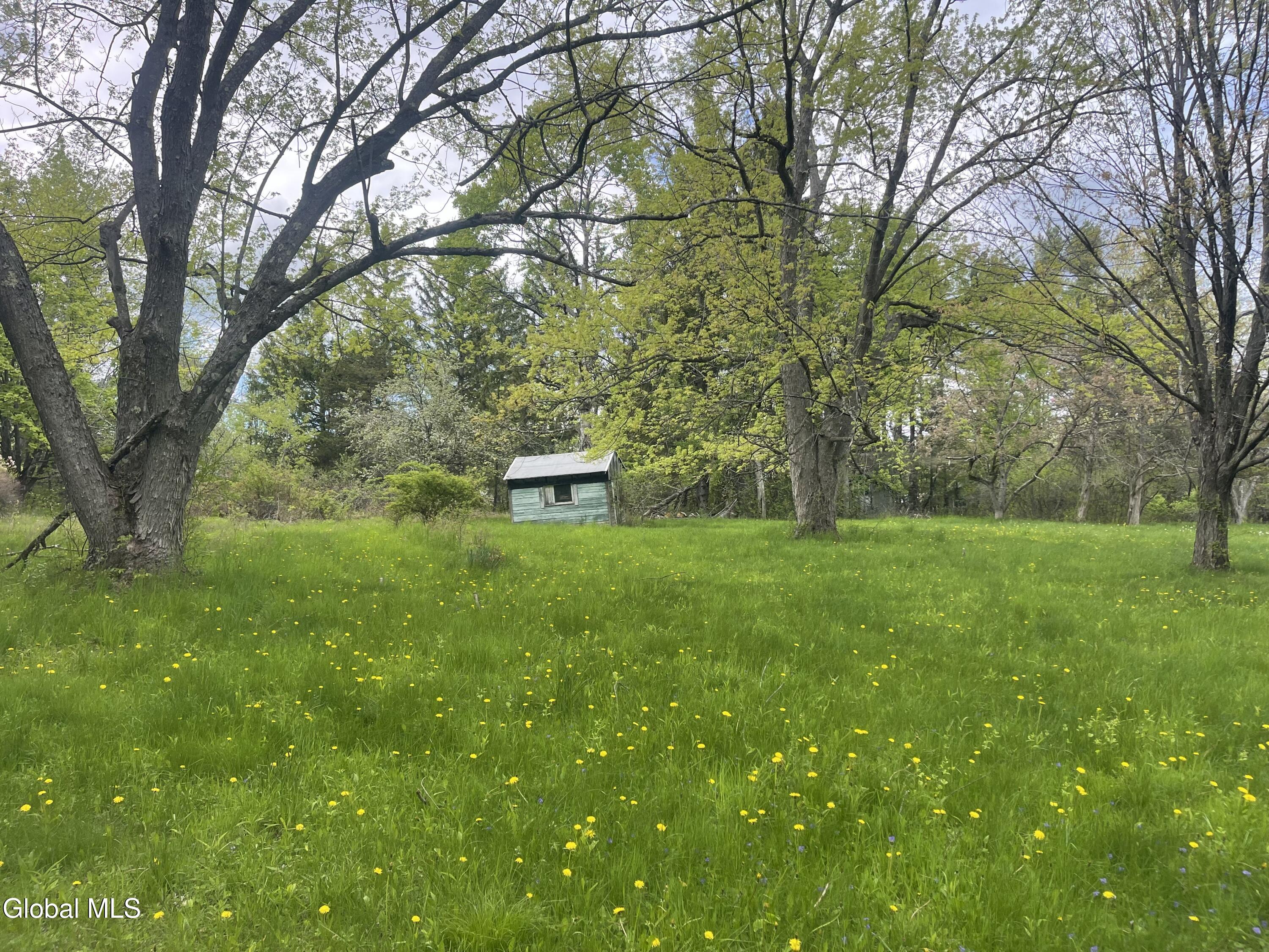 3 Agawam Lane Altamont NY 12009