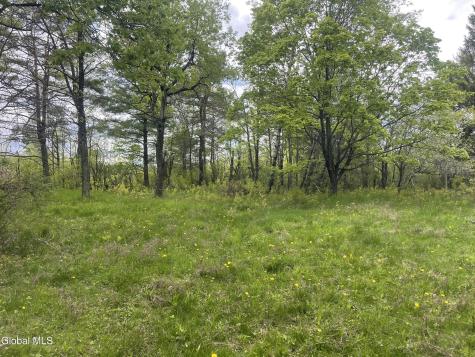 3 Agawam Lane Altamont NY 12009
