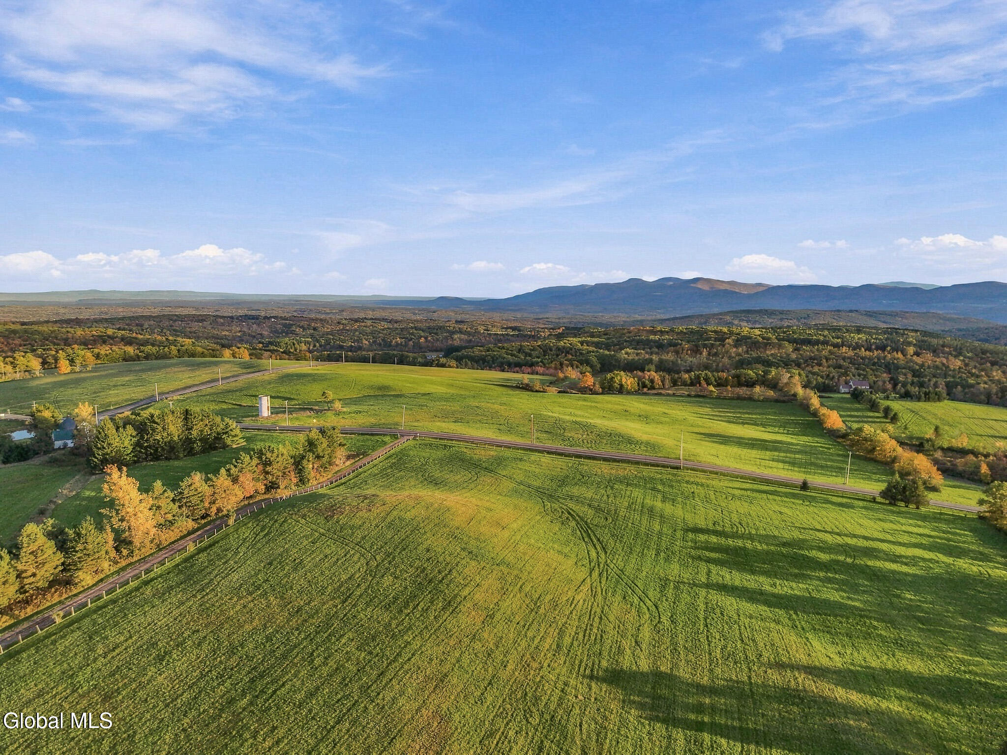 411 County Route 353 Rensselaerville NY 12147