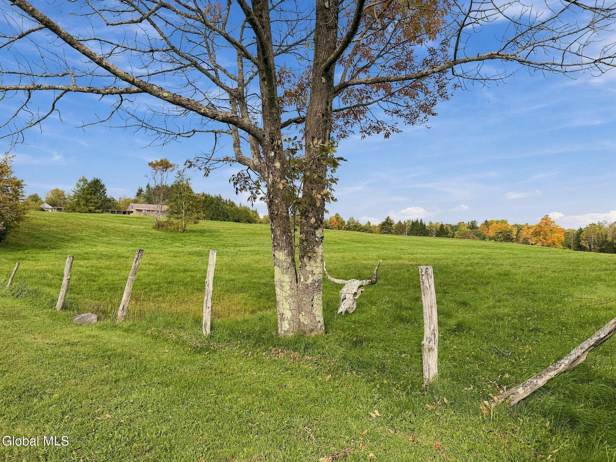 411 County Route 353 Rensselaerville NY 12147