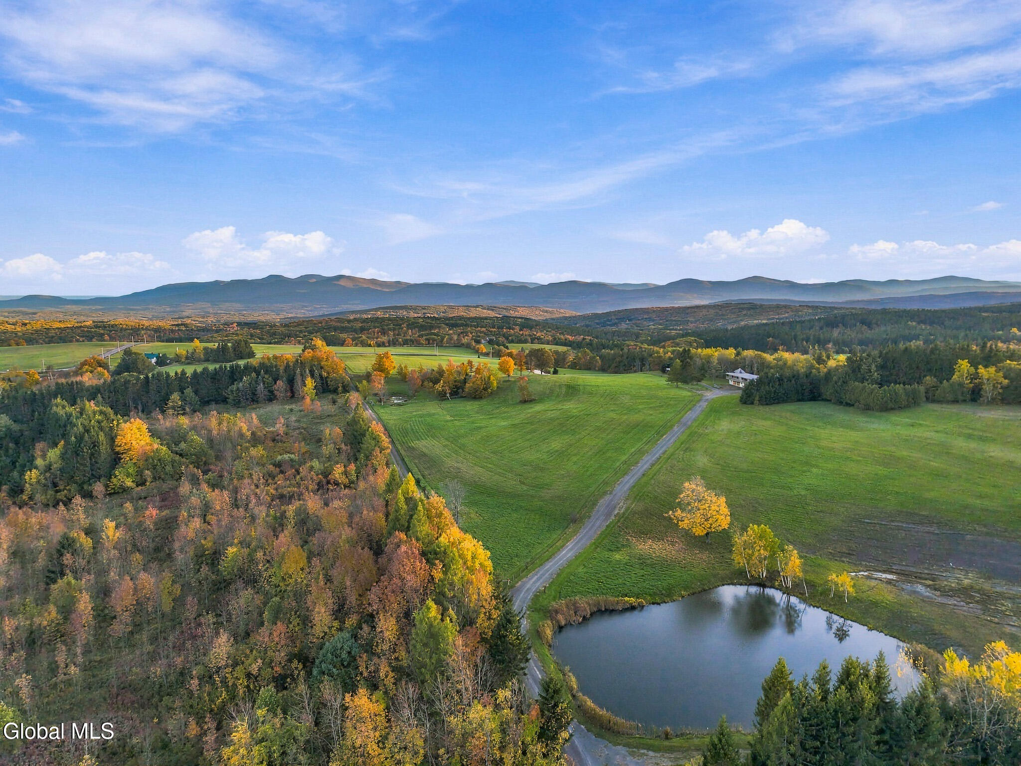 411 County Route 353 Rensselaerville NY 12147
