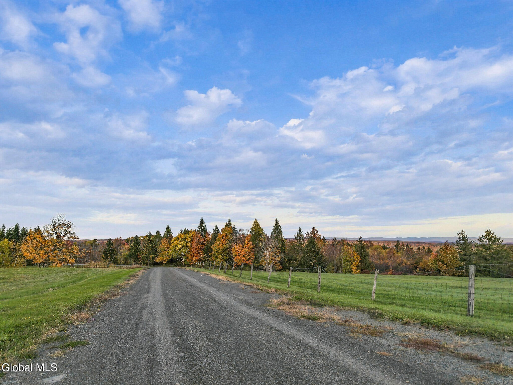 411 County Route 353 Rensselaerville NY 12147
