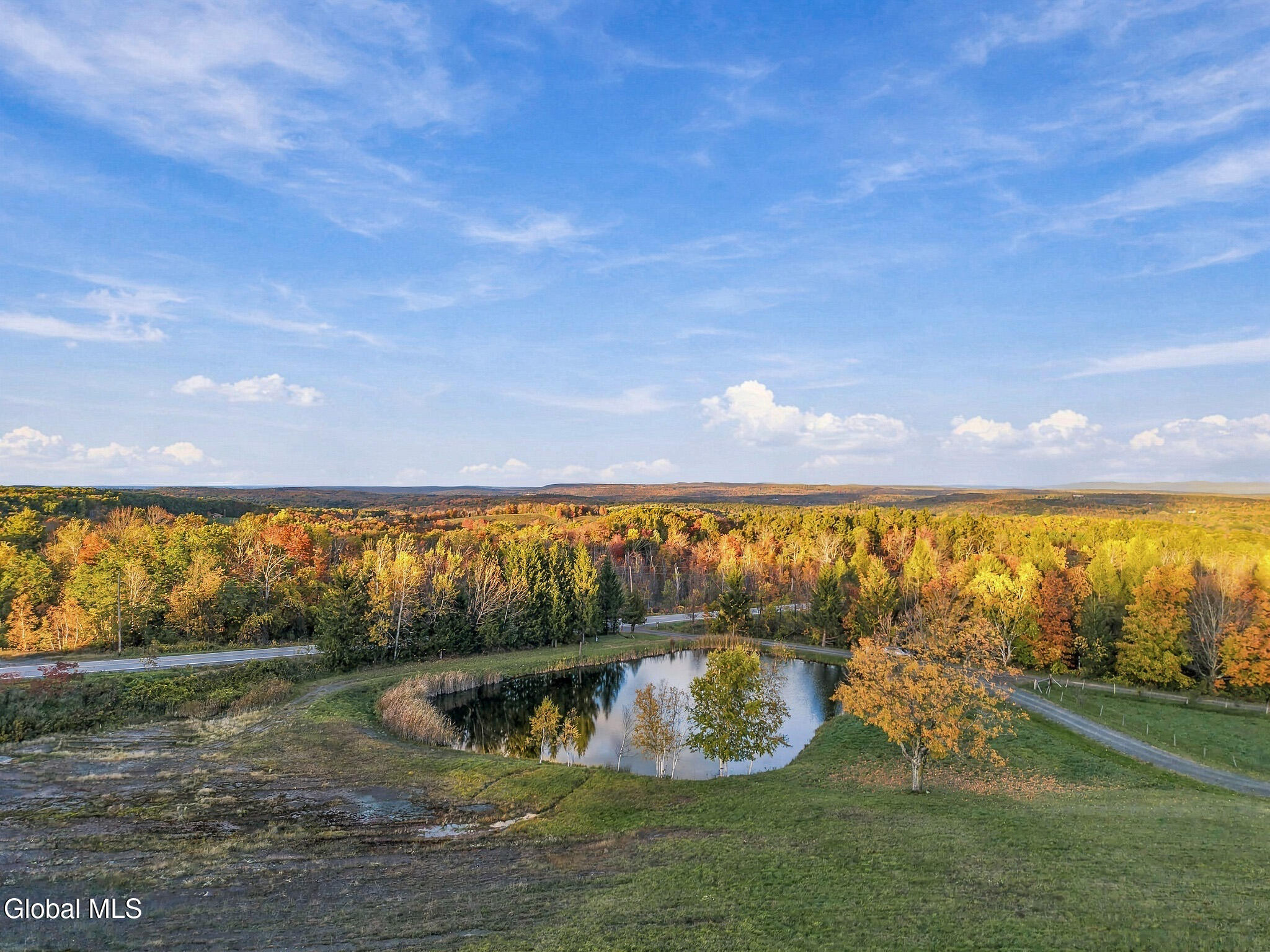 411 County Route 353 Rensselaerville NY 12147