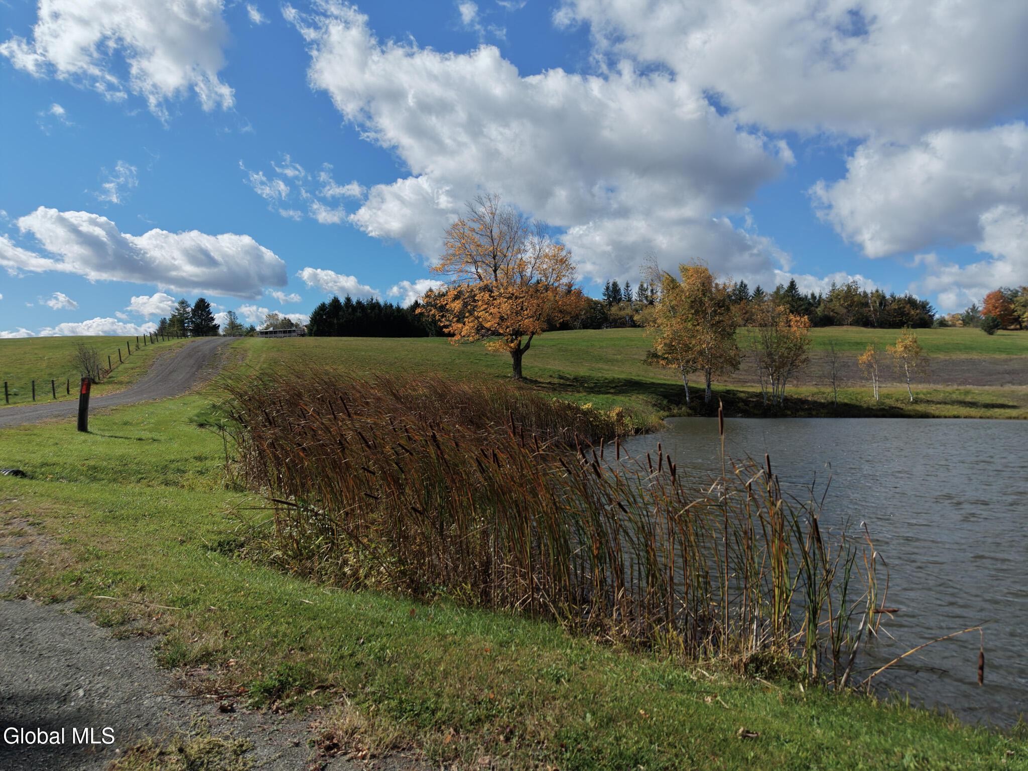411 County Route 353 Rensselaerville NY 12147