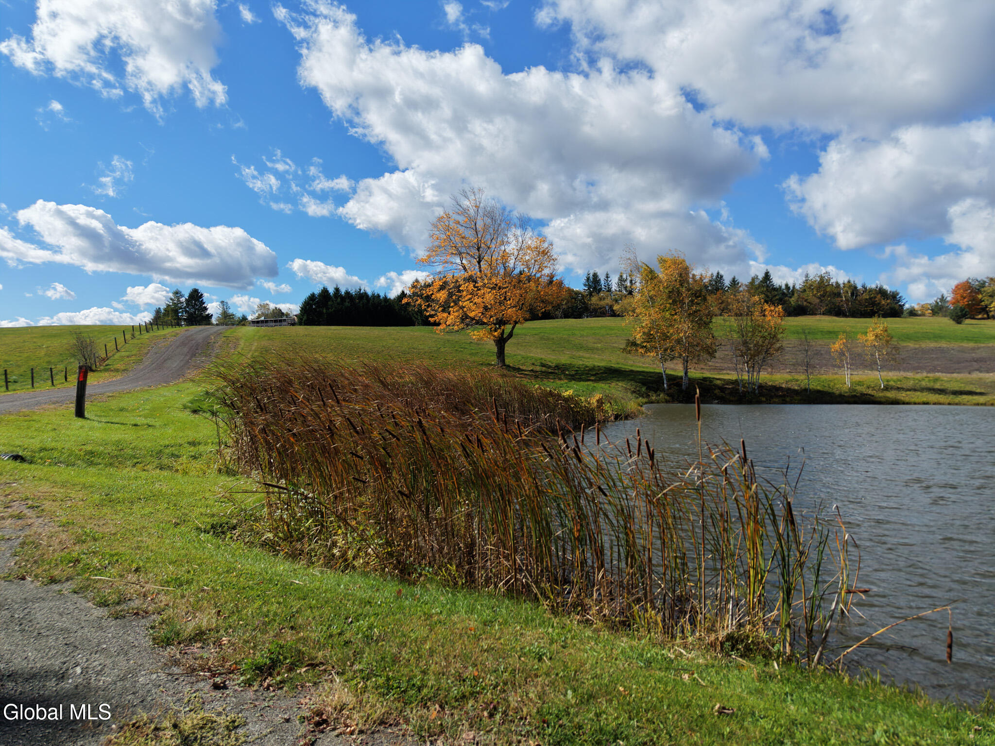 411 County Route 353 Rensselaerville NY 12147