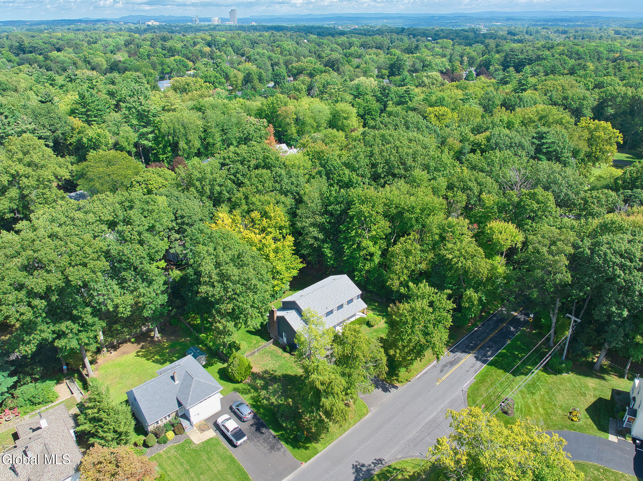 51 Bender Lane Delmar NY 12054