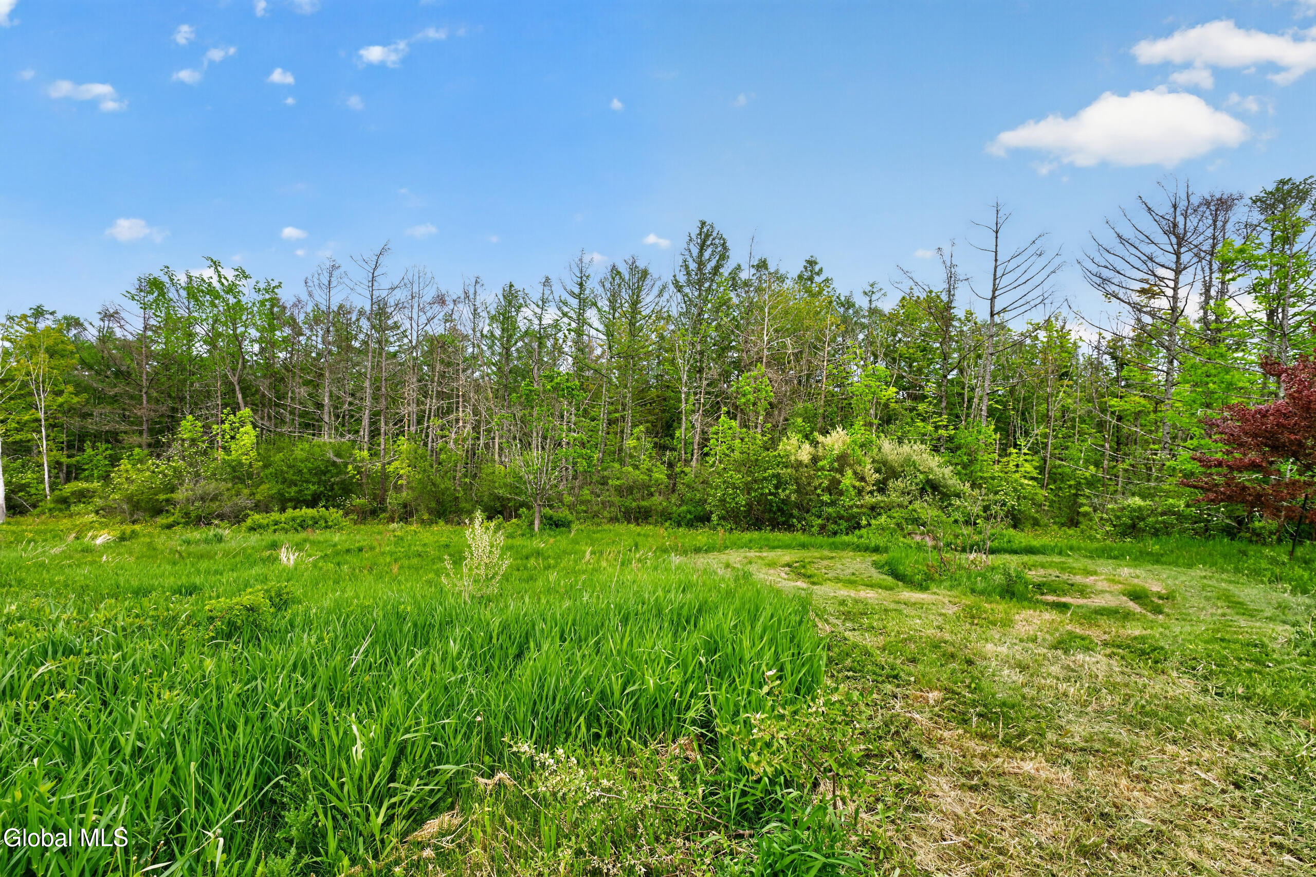 160 Joslyn School Road East Berne NY 12059