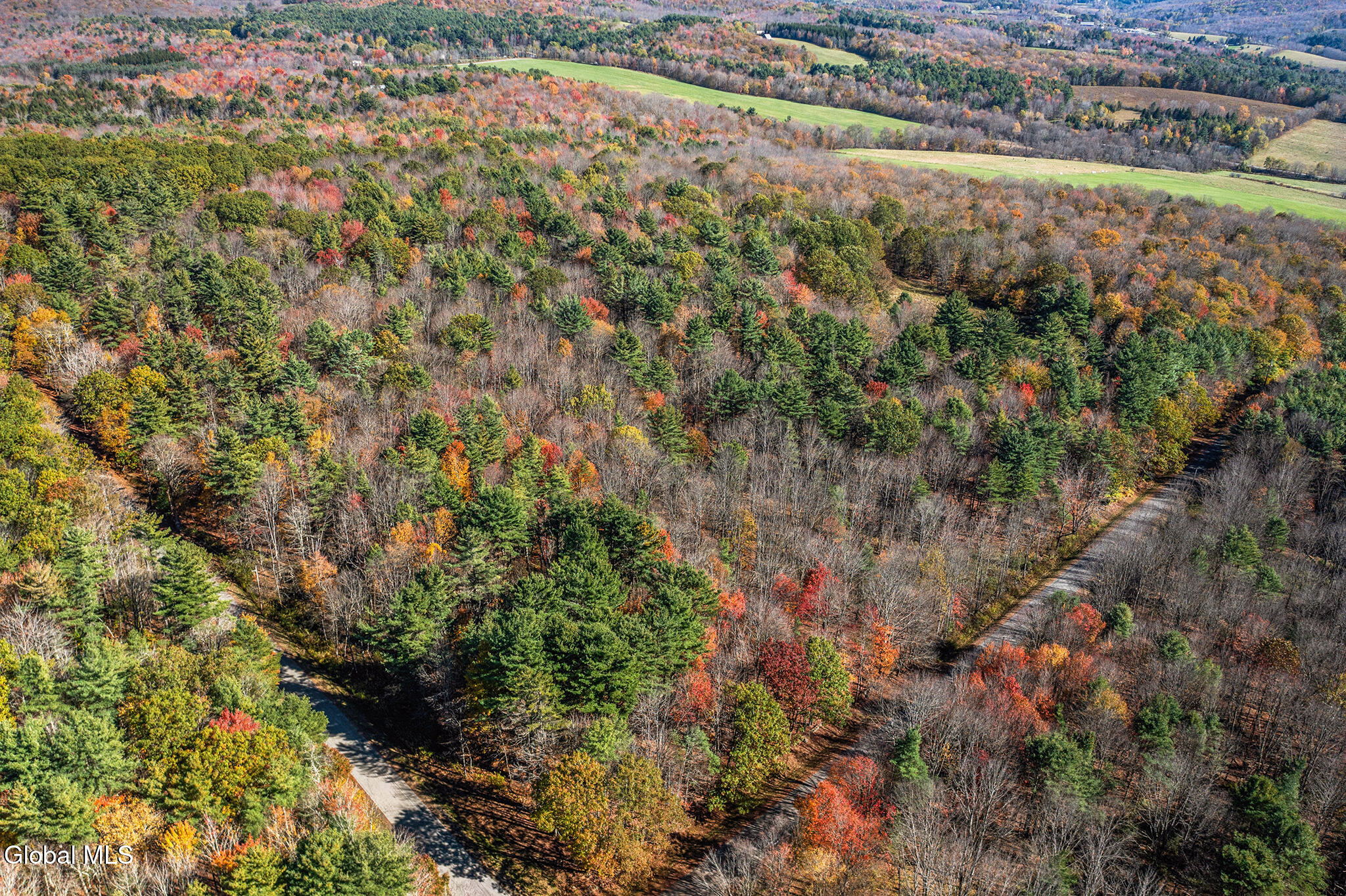1063 Shaver Road Harpersfield NY 13786