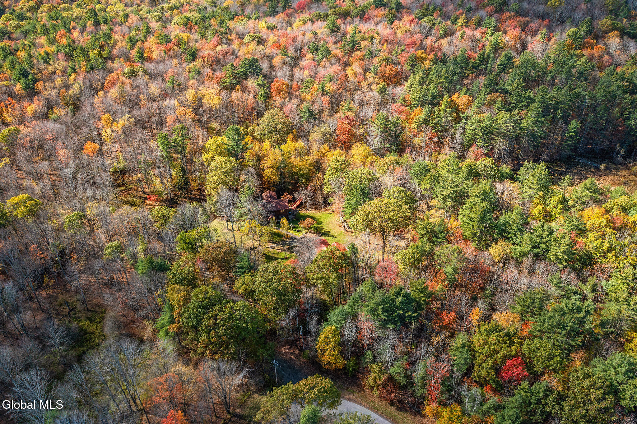 1063 Shaver Road Harpersfield NY 13786