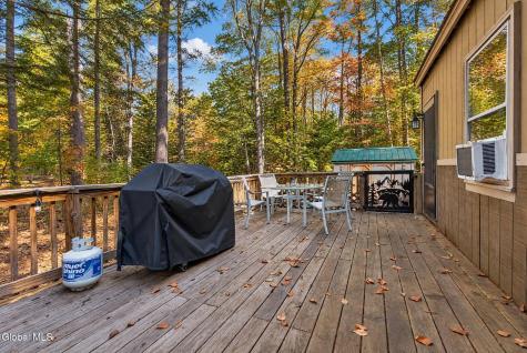 5 Sande Lane Corinth NY 12822