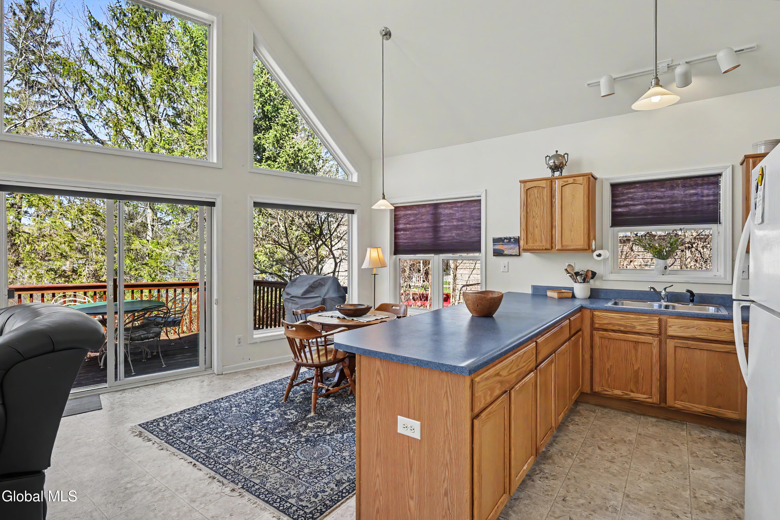 536 S Shore Road Delanson NY 12053