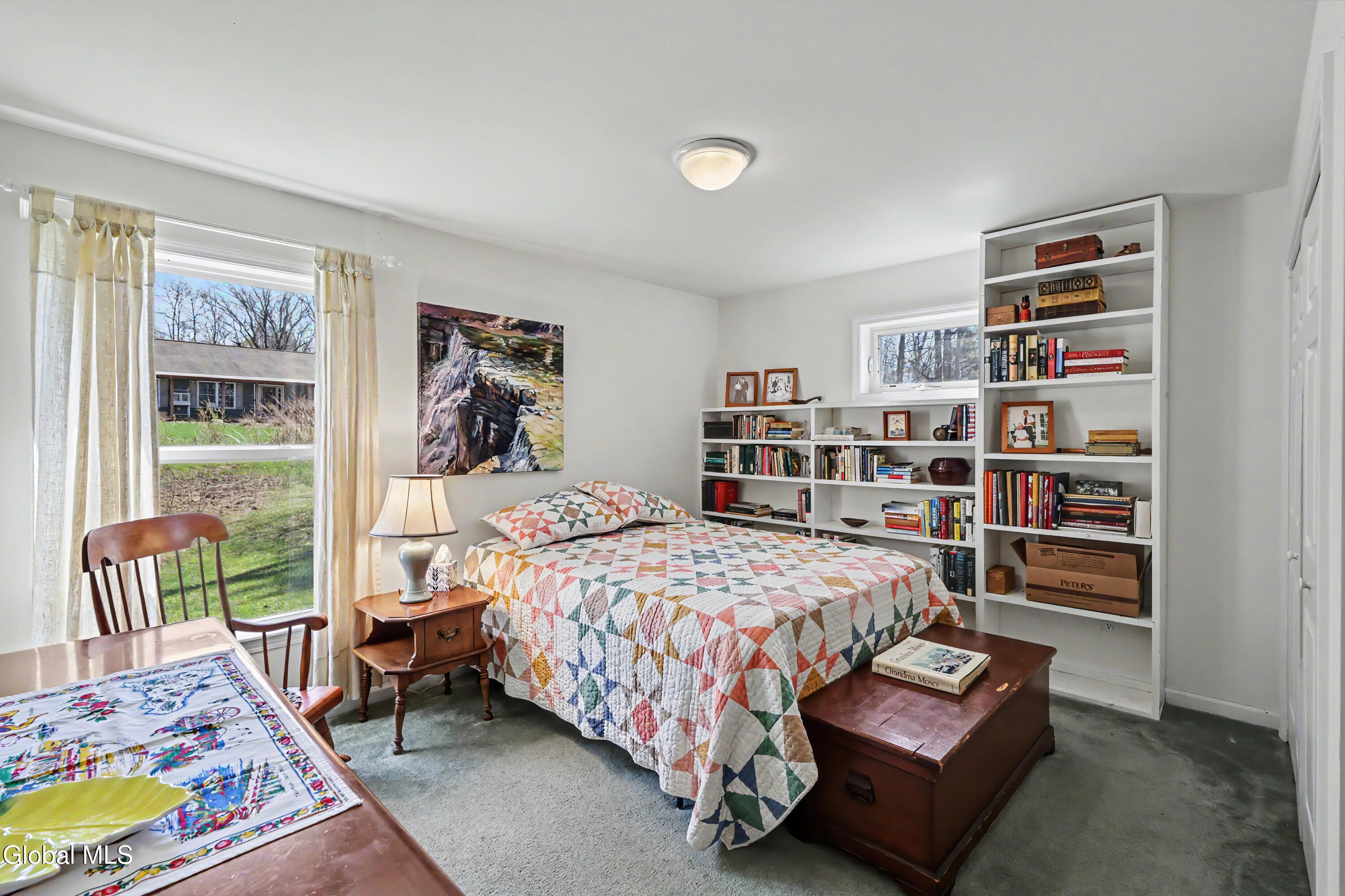 536 S Shore Road Delanson NY 12053