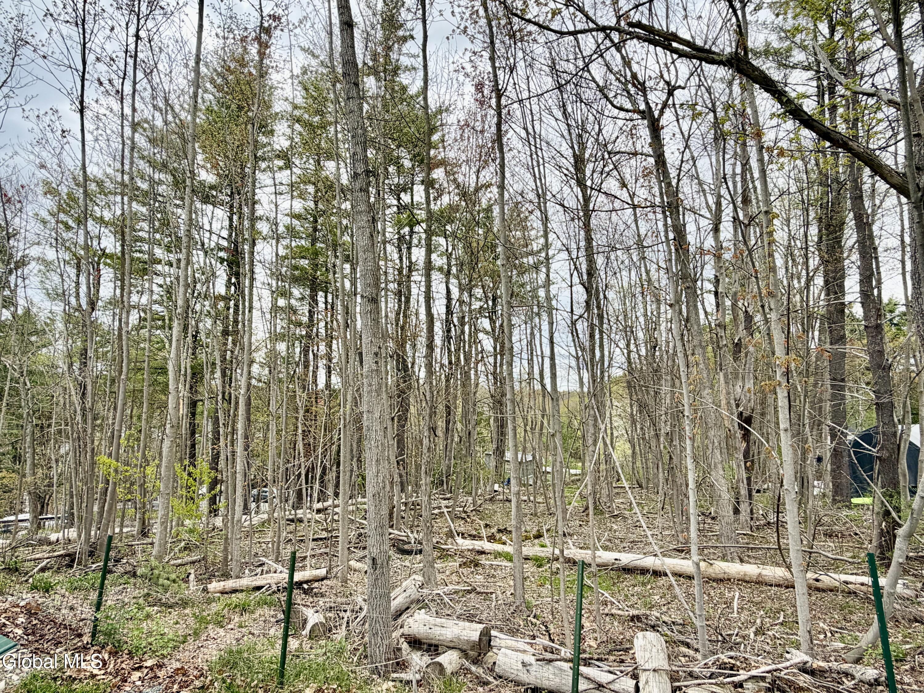 19 Harriman Road Averill Park NY 12018