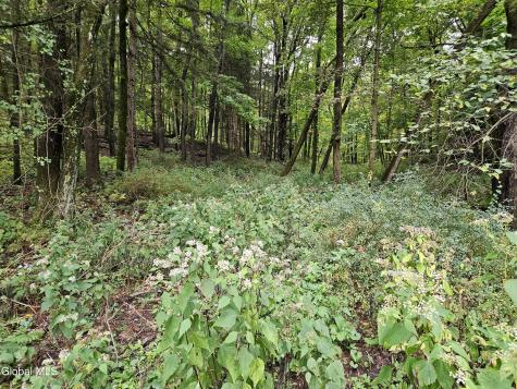 78 Sharpe Road Wynantskill NY 12198