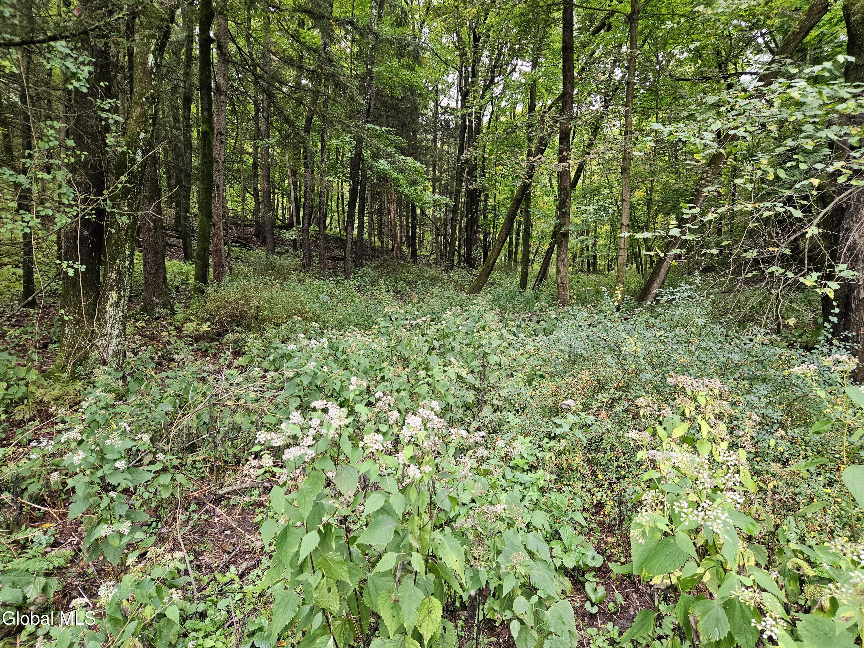 78 Sharpe Road Wynantskill NY 12198