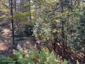 2004 Hoffman Road Schroon Lake NY 12870