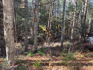 2004 Hoffman Road Schroon Lake NY 12870