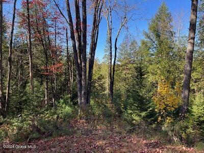 2004 Hoffman Road Schroon Lake NY 12870