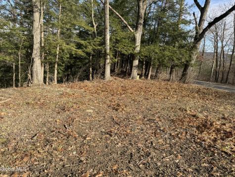 4711 Pattersonville-rynex Corners Road Pattersonville NY 12137