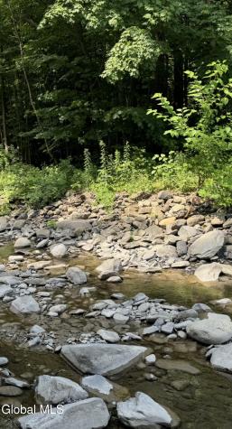 4711 Pattersonville-rynex Corners Road Pattersonville NY 12137