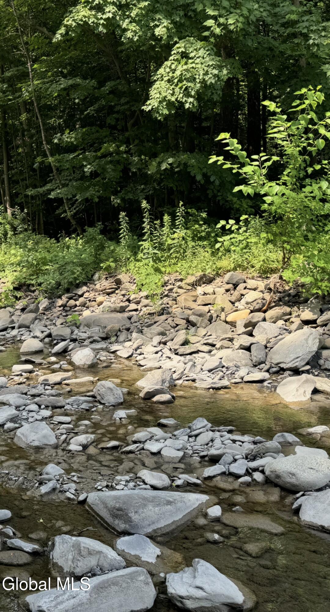4711 Pattersonville-rynex Corners Road Pattersonville NY 12137