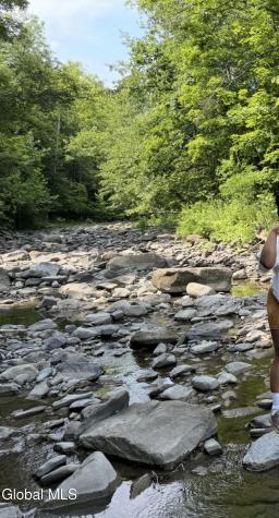 4711 Pattersonville-rynex Corners Road Pattersonville NY 12137